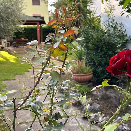 La Casa Di Gemma B&B Villa Vomano Eksteriør billede