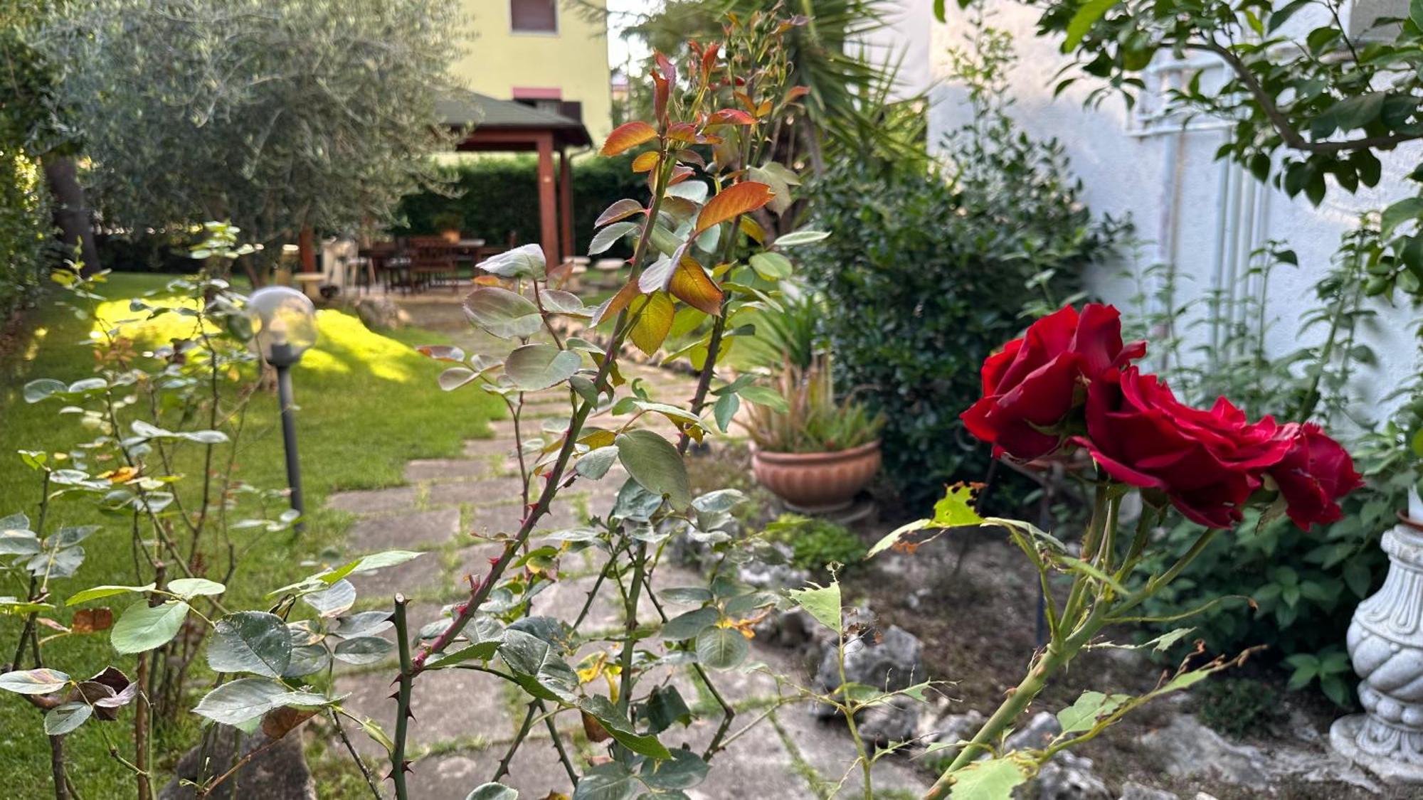 La Casa Di Gemma B&B Villa Vomano Eksteriør billede
